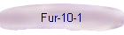Fur-10-1