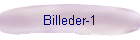 Billeder-1