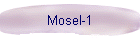 Mosel-1